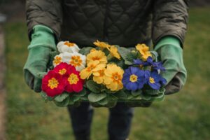 Seasonal Flower