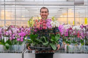Kristen Bradley "The Chic Maven"- Flower Farms
